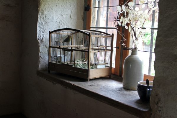 Cage à oiseaux