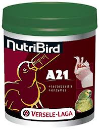 Nutribird A21 nourissage des oisillons