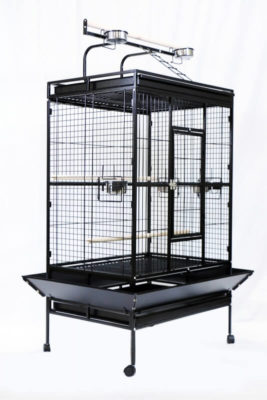 cage pour perruche